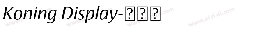 Koning Display字体转换